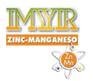 MYR ZINC MANGANESO