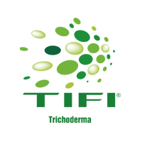 TIFI