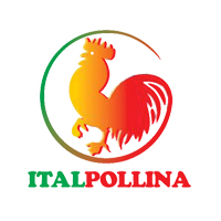 ITALPOLLINA 4 - 4 - 4