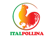 ITALPOLLINA