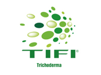 TIFI